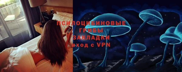 МДПВ Алексеевка