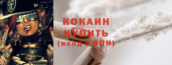 ECSTASY Алзамай