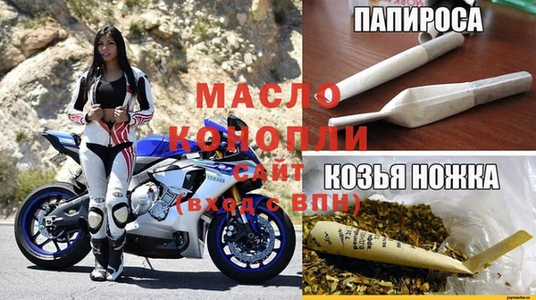 стаф Алексин