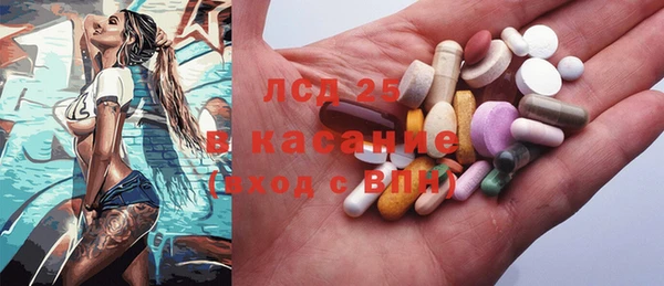 стаф Алексин