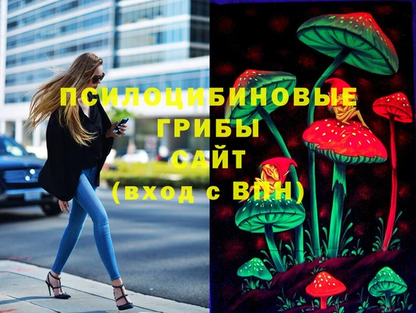 МДПВ Алексеевка