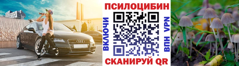 Галлюциногенные грибы Magic Shrooms Обоянь